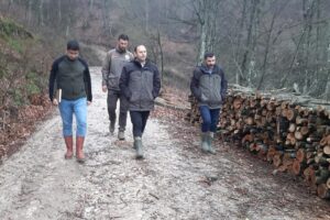 KAYIN BAKIM ÇALIŞMALARINA İNCELEME