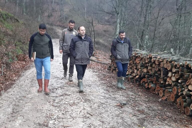 KAYIN BAKIM ÇALIŞMALARINA İNCELEME