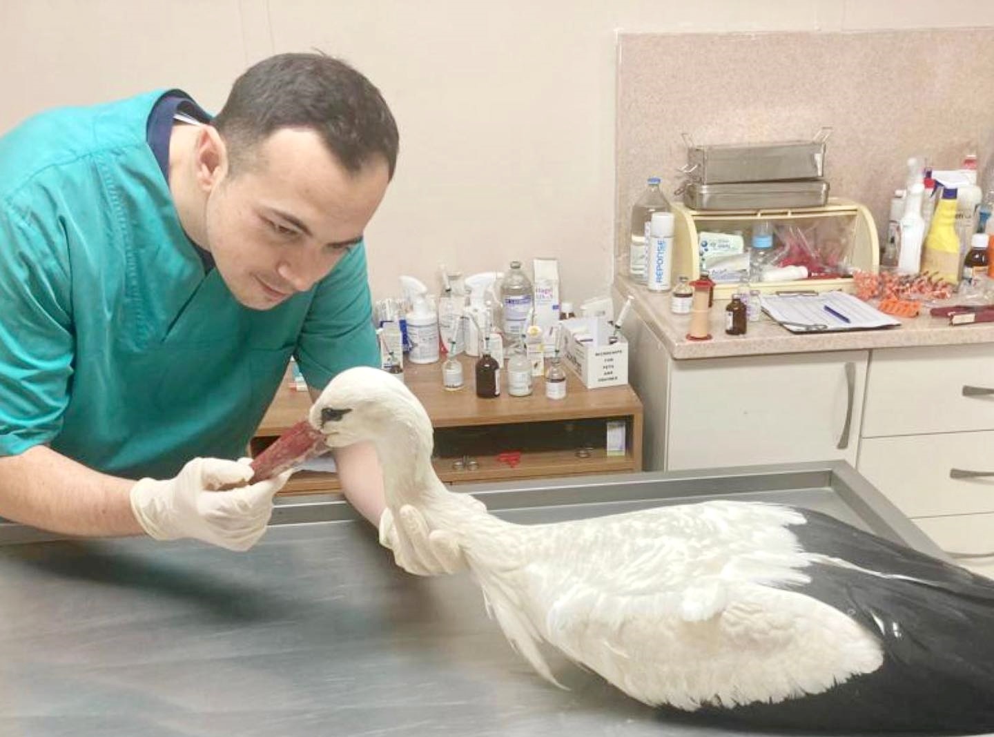 YARALANAN LEYLEK EMİN ELLERDE