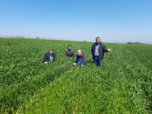 ÇİFTÇİLERE SÜRVEY ÇAĞRISI