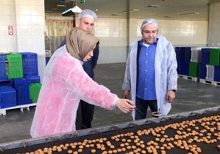 PEYNİR TATLISI ÜRETİCİLERİNE DENETİM