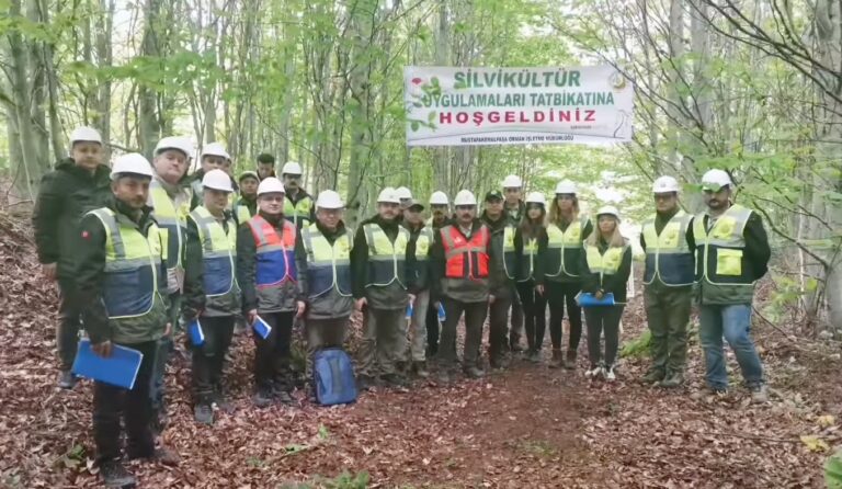 MUSTAFAKEMALPAŞA ORMANLARINDA SİLVİKÜLTÜR EĞİTİMİ