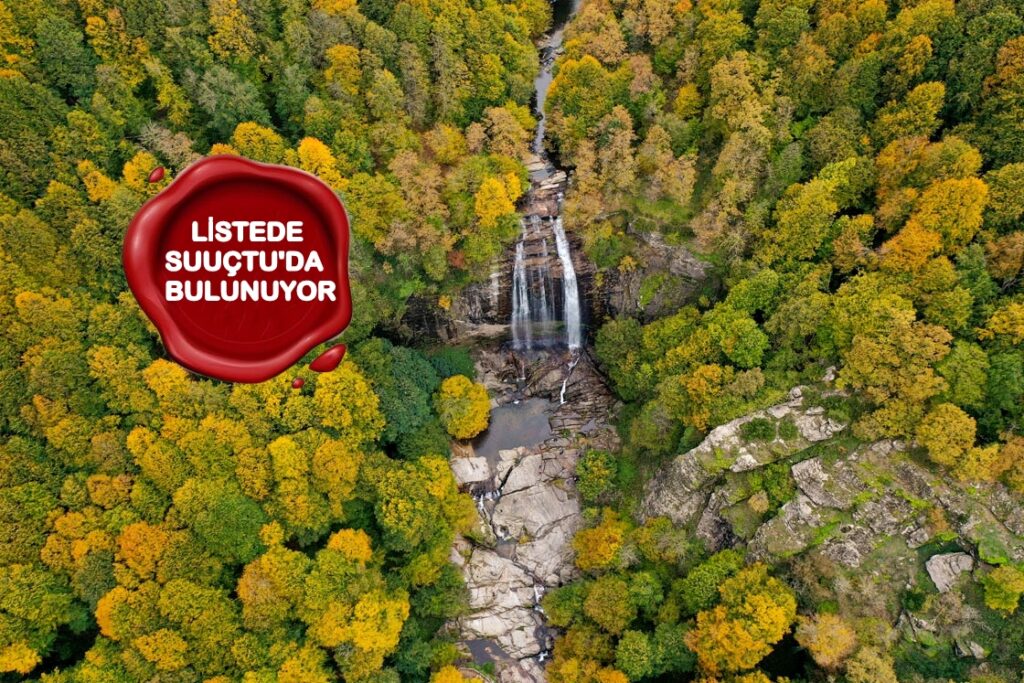 MESİRE VE PİKNİK ALANLARINDA YANGIN ÖNLEMİ