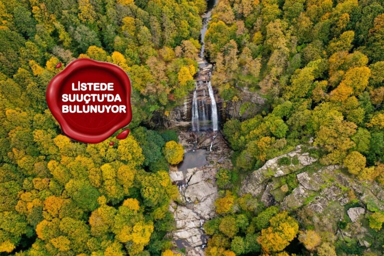 MESİRE VE PİKNİK ALANLARINDA YANGIN ÖNLEMİ