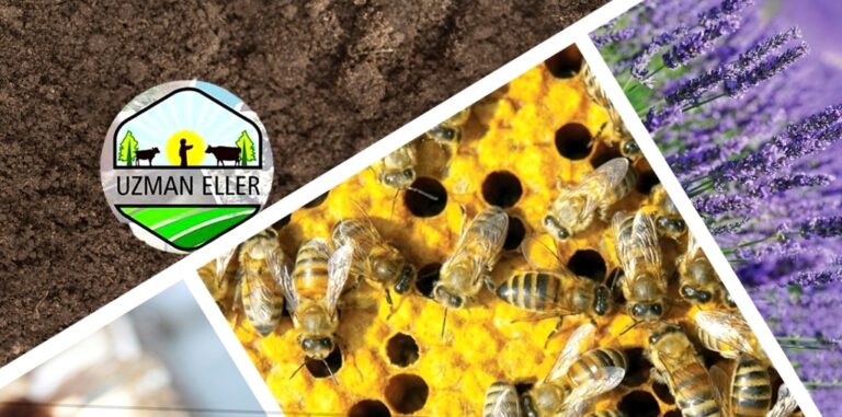 MUSTAFAKEMALPAŞA’DA ‘UZMAN ELLER’E HİBE DESTEĞİ