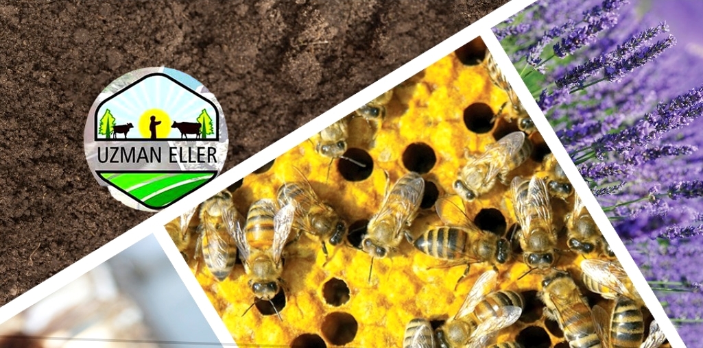 MUSTAFAKEMALPAŞA’DA ‘UZMAN ELLER’E HİBE DESTEĞİ