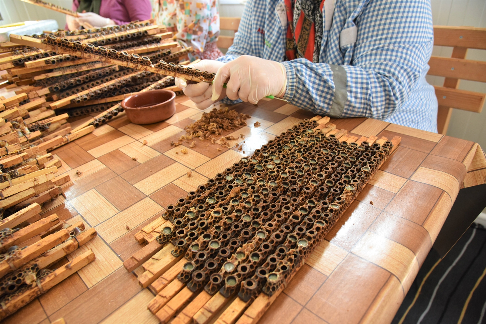 ‘BEYAZ ALTIN’DA SATIŞ REKORU