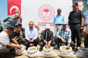 ARPA ÜRETİMİNDE İKİNCİ SIRA MUSTAFAKEMALPAŞA’NIN