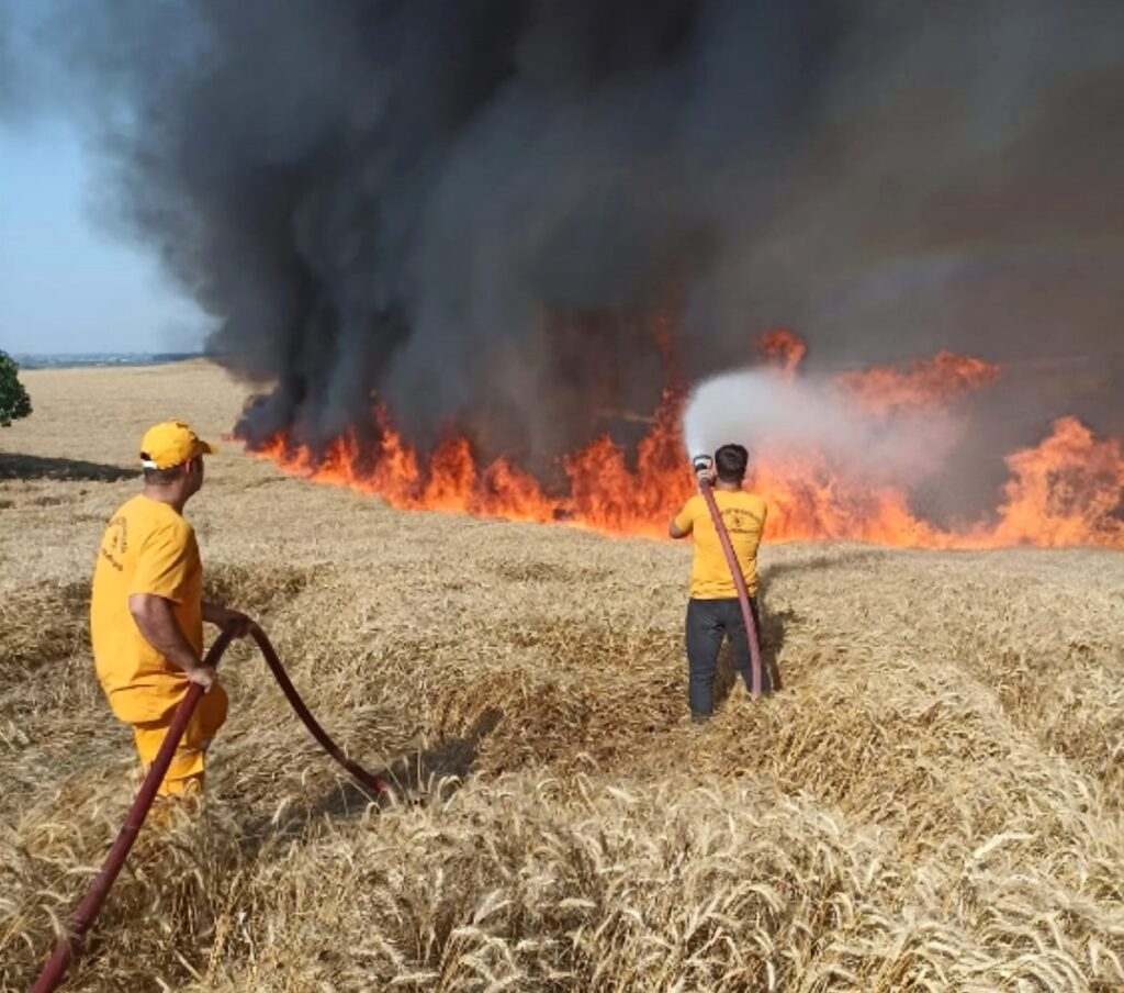 BUĞDAY TARLASI KÜLE DÖNDÜ