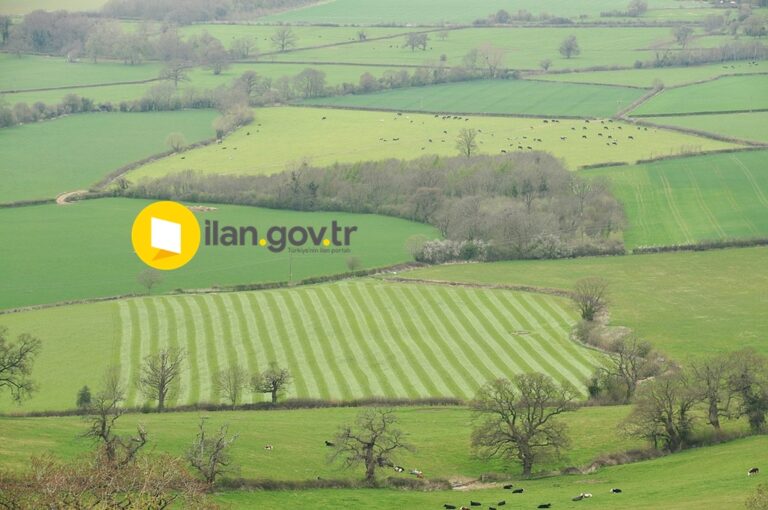 İCRADAN SATILIK TARLA