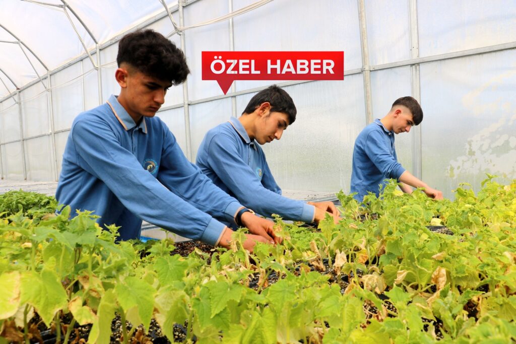 MUSTAFAKEMALPAŞA’YA TARIM LİSESİ GELİYOR