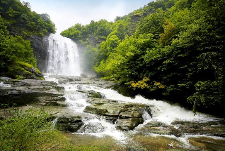 ORMAN YANGINLARINA KARŞI EK ÖNLEM