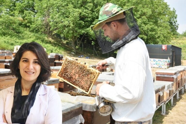 ‘BAL İHRACATI DESTEKLERLE ARTAR’