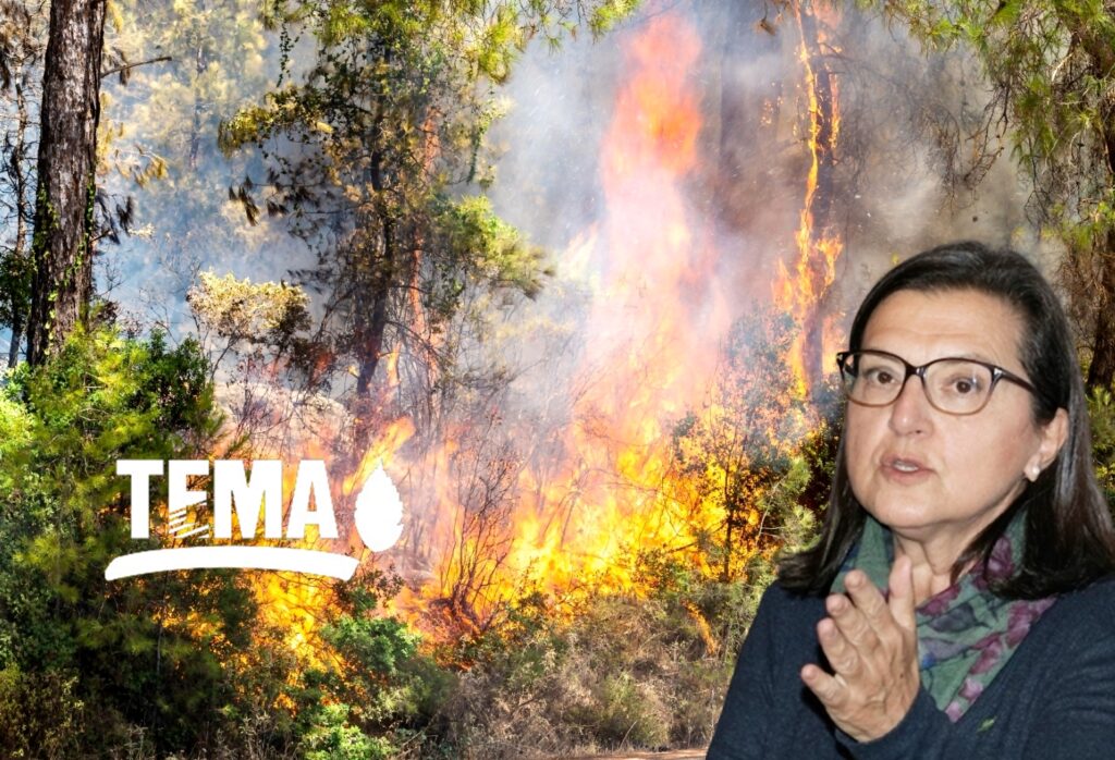 ‘BİR KIVILCIM GELECEĞİMİZİ YAKMASIN, ORMANLARIMIZ HEP YAŞASIN!