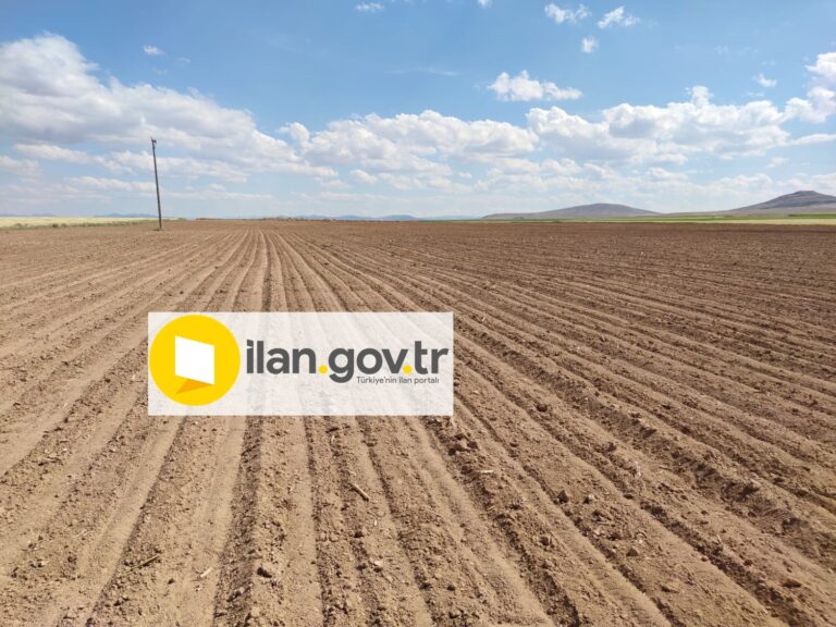 ÇELTİKÇİ’DE SATILIK TARLA