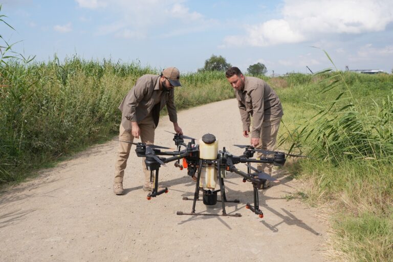 DRONE İLE SİNEK AVI