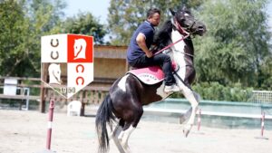 İŞ GARANTİLİ SEYİSLİK KURSU AÇILIYOR