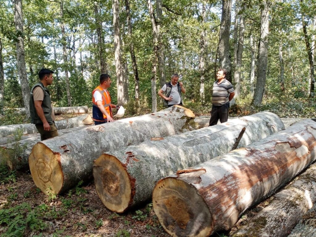 MUSTAFAKEMALPAŞA ORMANLARININ GELECEĞİ GÜVENDE