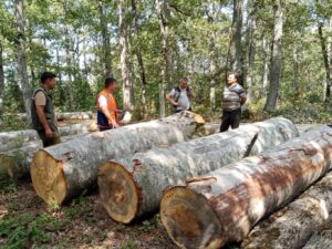 MUSTAFAKEMALPAŞA ORMANLARININ GELECEĞİ GÜVENDE