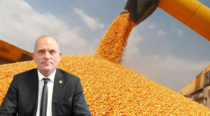 ‘MISIR FİYATI HAYAL KIRIKLIĞI’