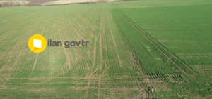 ONAÇ’TA MAHKEMEDEN SATILIK TARLA