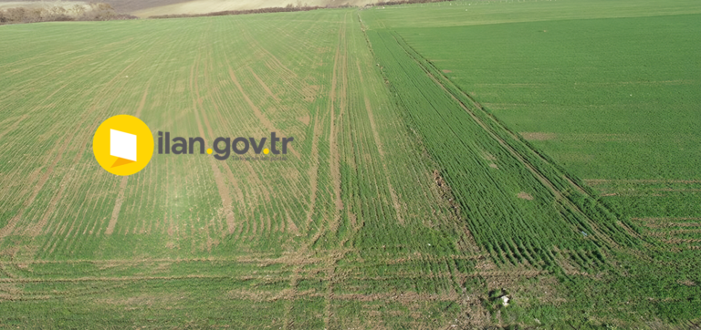 ONAÇ’TA MAHKEMEDEN SATILIK TARLA