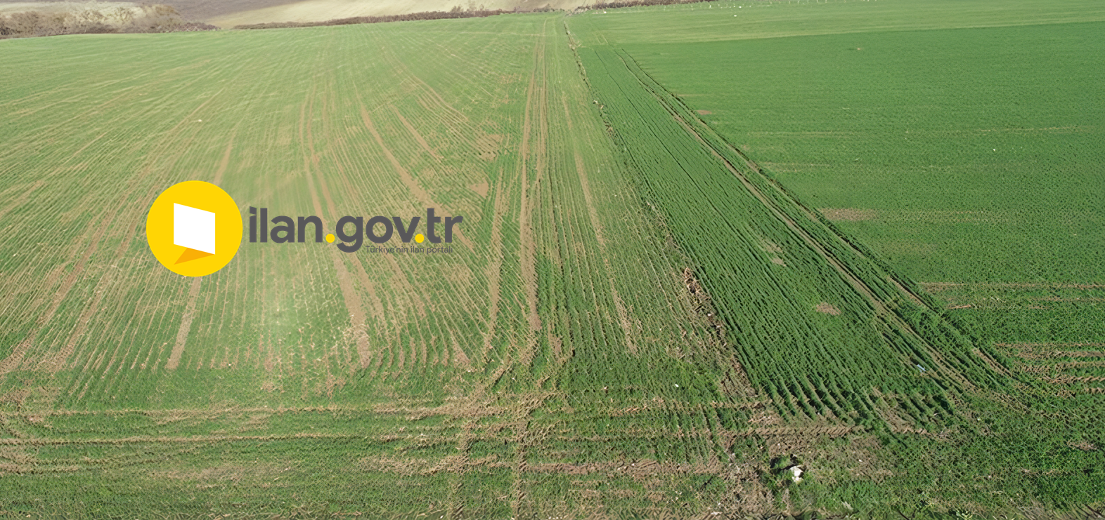 ONAÇ’TA MAHKEMEDEN SATILIK TARLA