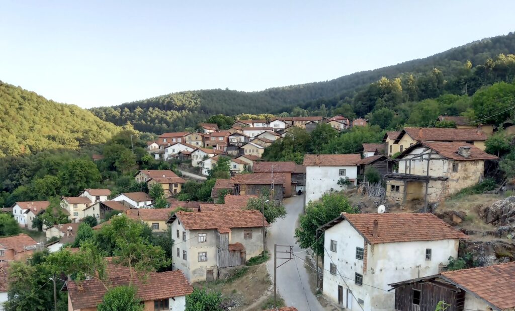 ORMAN KÖYLÜLERİNE ‘FELAKETZEDE’ DÜZENLEMESİ