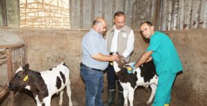 SONBAHAR DÖNEMİ ŞAP AŞILAMALARI BAŞLADI