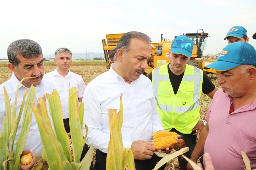 TOHUMLUK MISIR’IN LİDERİ BURSA