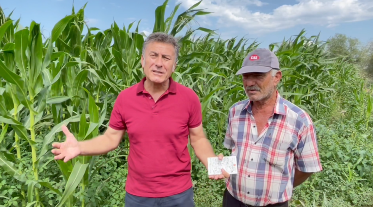 ‘MISIR ÜRETİCİLERİ DESTEKLENMELİ’