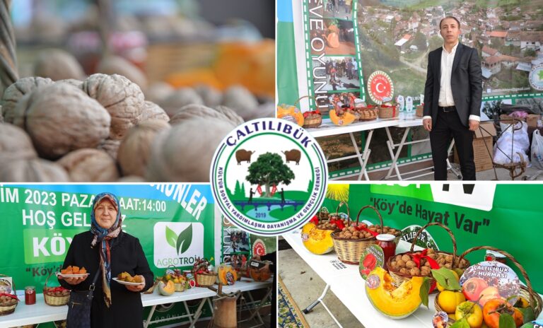 ÇALTILIBÜK’TE RENKLİ CEVİZ HASADI FESTİVALİ