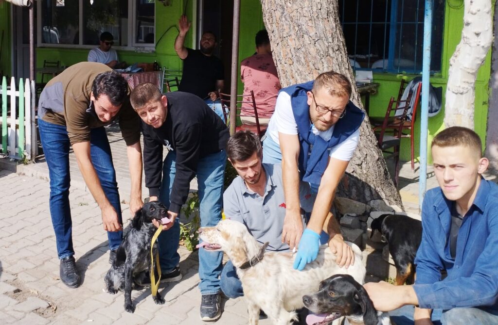 EVCİL HAYVANLARA ÇİP UYGULAMASI