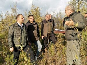 MEŞE SAHALARI GENÇLEŞTİRİLİYOR