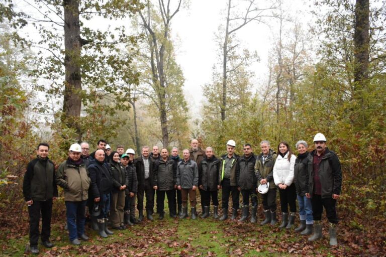 MUSTAFAKEMALPAŞA ORMANLARINA MACARİSTAN İLGİSİ