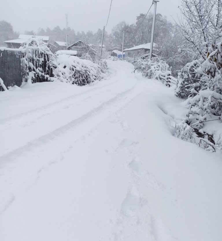 YÜKSEK KESİMLER KAR ALTINDA