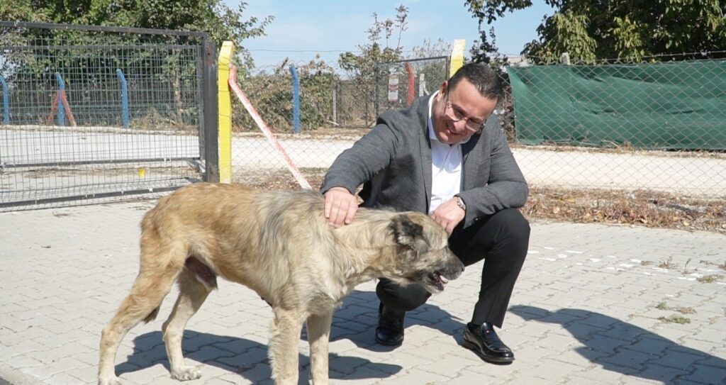 HAYVAN BARINAĞI BİNLERCE CANA YUVA OLDU