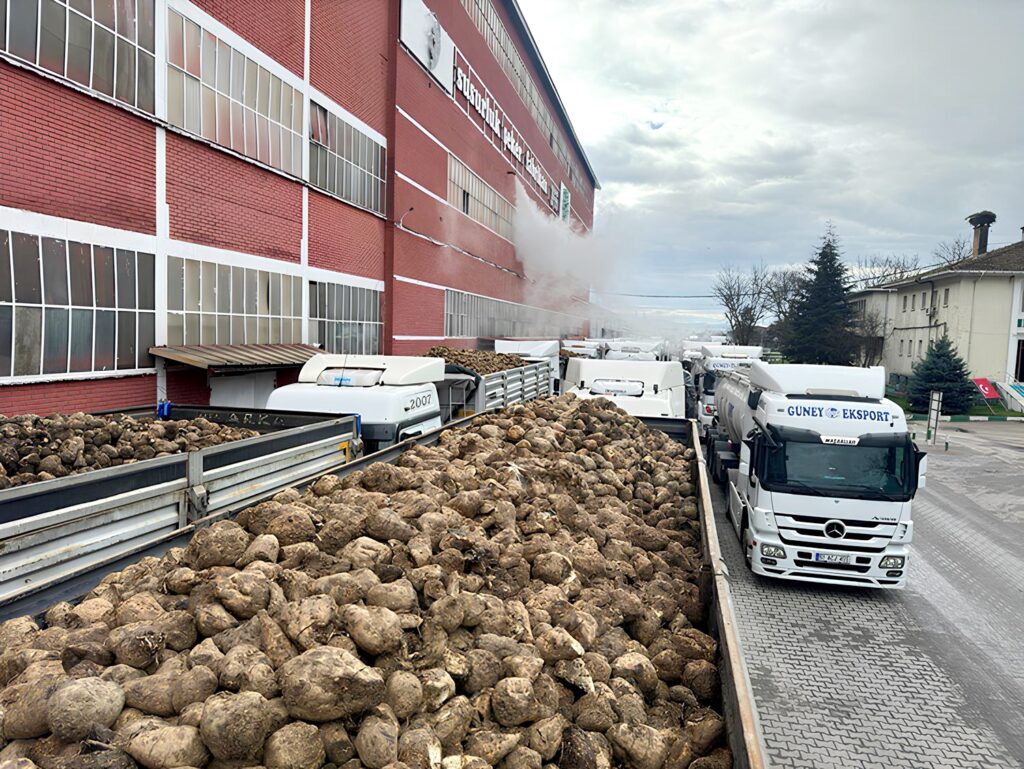 SUSURLUK ŞEKER REKORA KOŞUYOR