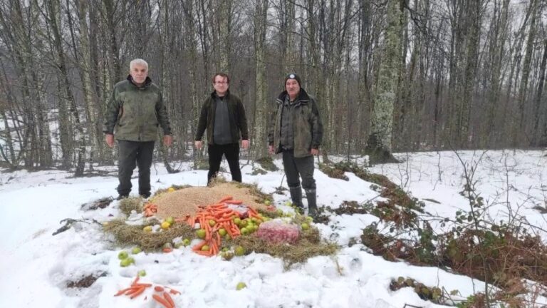 YABAN HAYVANLARINA YEM TAKVİYESİ