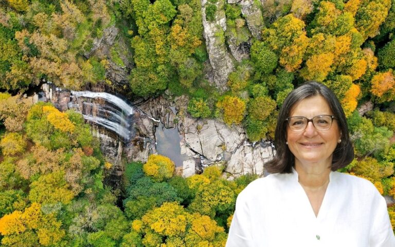 ‘ORMAN VE SU VARLIKLARINA İHTİYACIMIZ VAR’