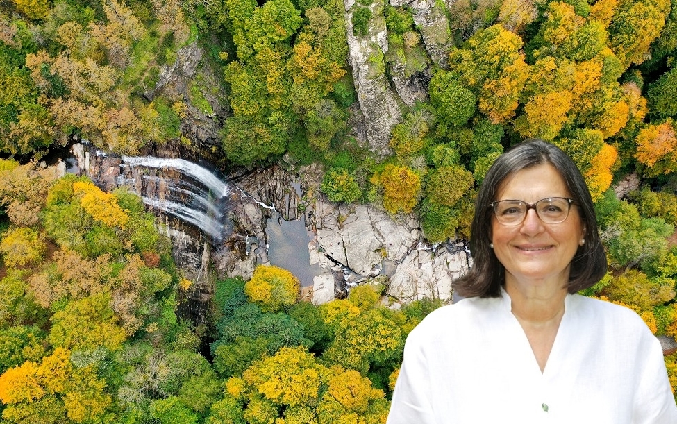 ‘ORMAN VE SU VARLIKLARINA İHTİYACIMIZ VAR’