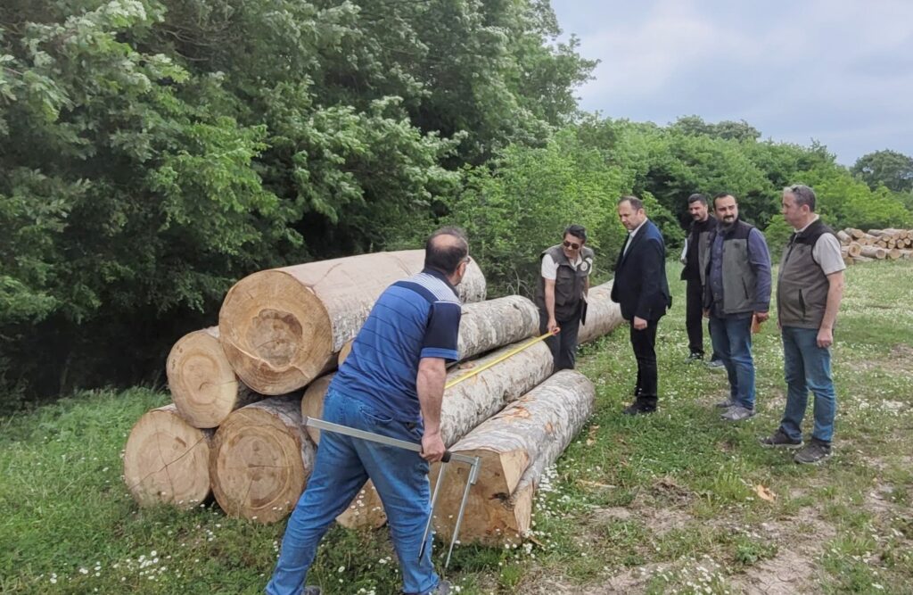 BÖLGE MÜDÜRÜ’NDEN ‘ORMAN’DA İNCELEME