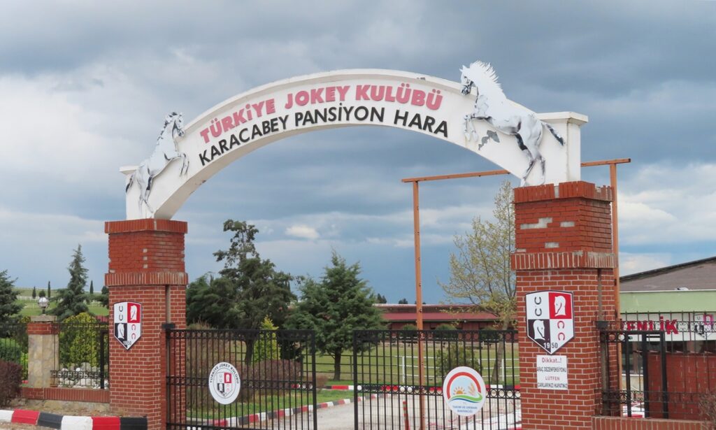 İŞ VE BURS İMKANLI SEYİSBAŞILIK KURSU