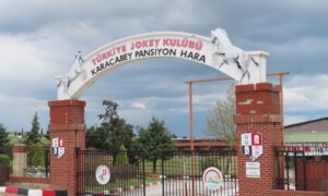 İŞ VE BURS İMKANLI SEYİSBAŞILIK KURSU