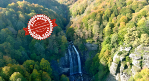 MUSTAFAKEMALPAŞA’NIN ORMAN VERİMLİLİĞİ ZİRVEDE