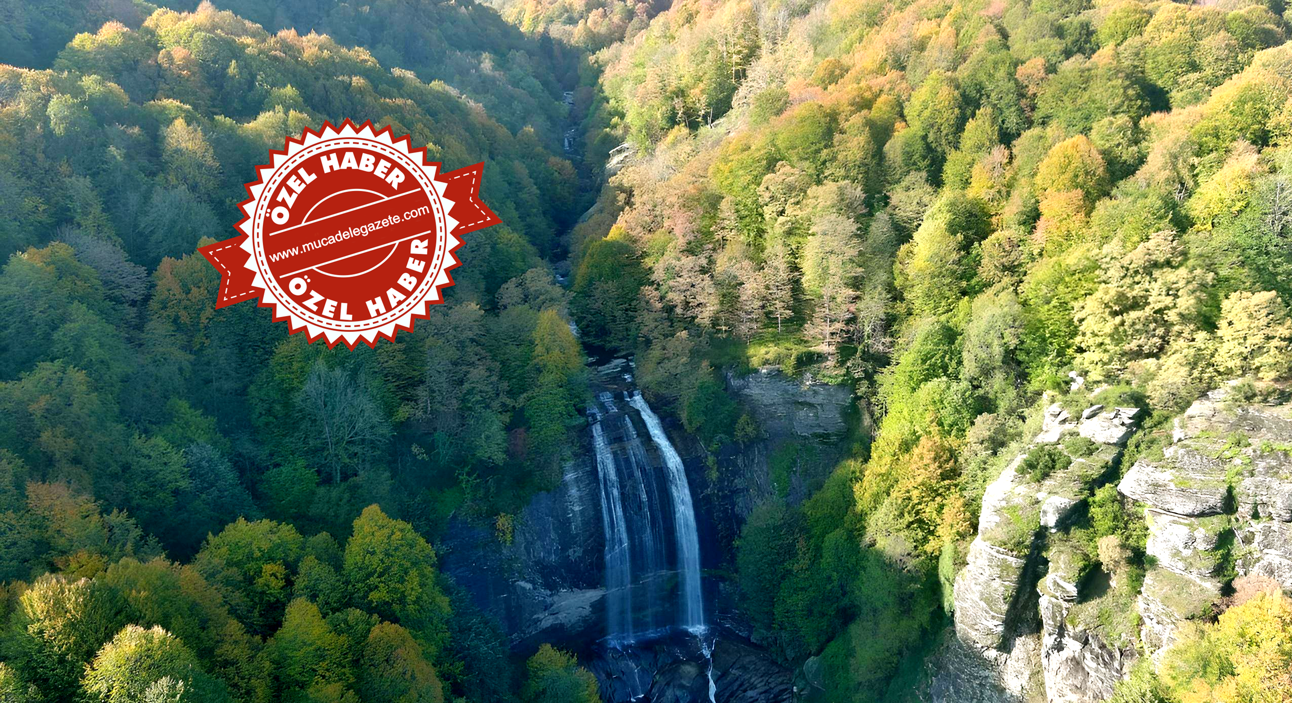 MUSTAFAKEMALPAŞA’NIN ORMAN VERİMLİLİĞİ ZİRVEDE