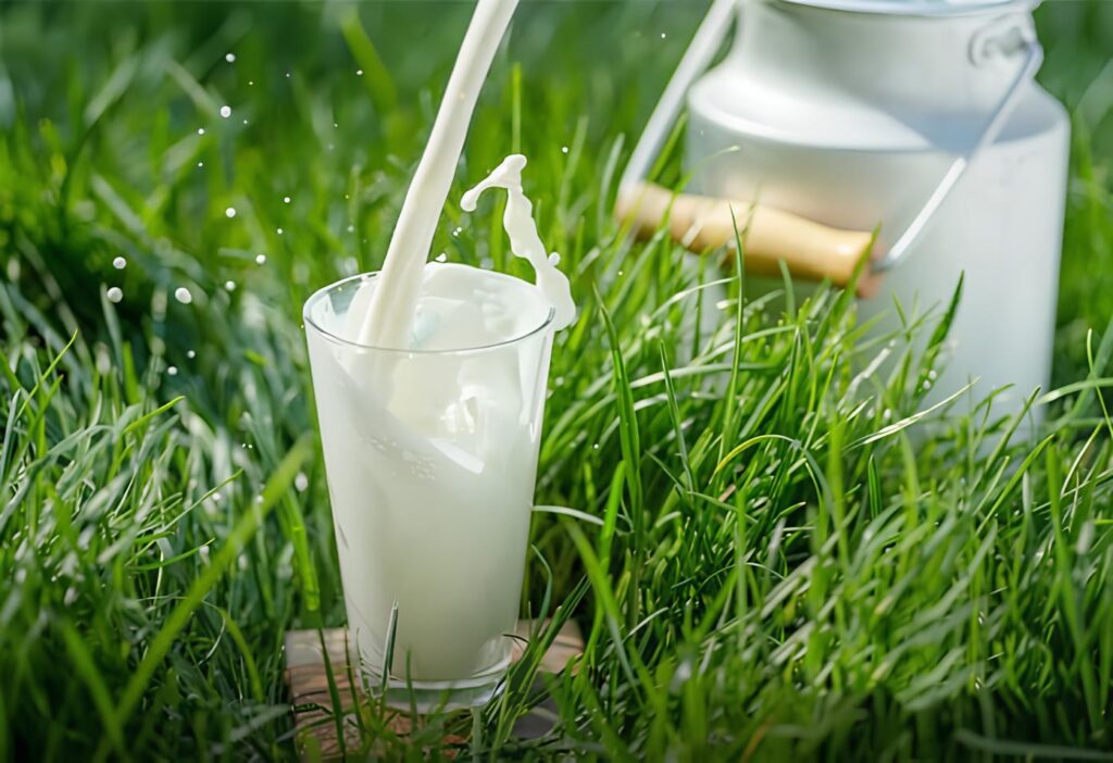 SÜT FİYATLARINA ZAM