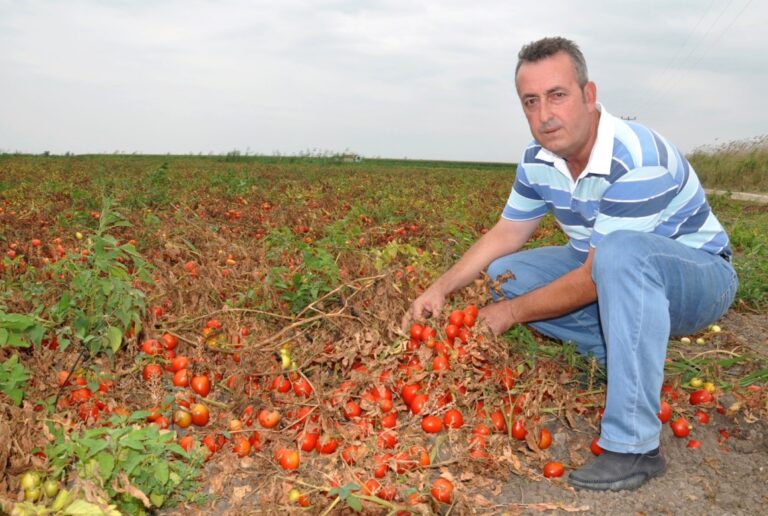 ‘SALÇA İHRACATININ ÖNÜ AÇILMALI’