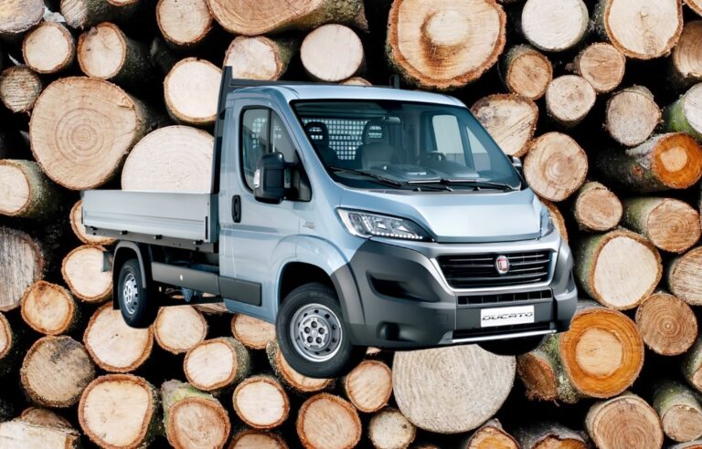 BELEDİYEDEN ARAÇ VE ODUN SATIŞI