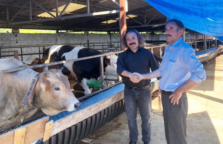 KURBANLIK FİYATLARI CEP YAKIYOR